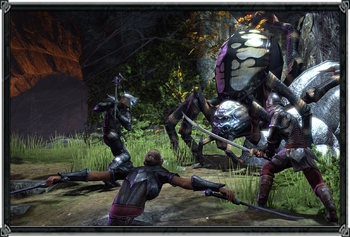Spider Spider
